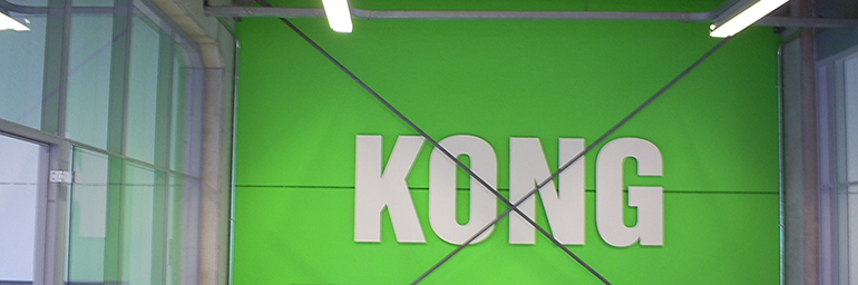 Kong
